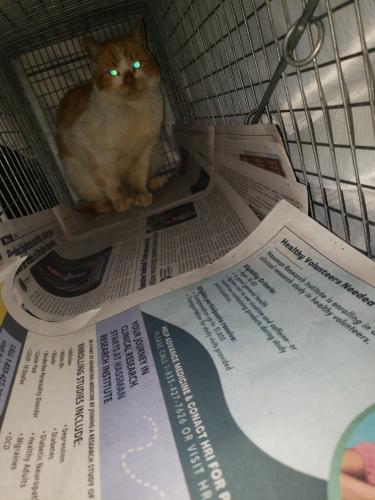 Resized 20230226 215507