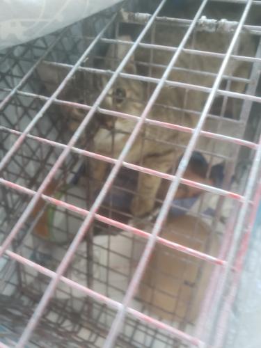 Resized 20230303 075903