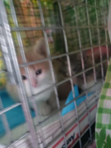 Resized 20230313 180941 (1)