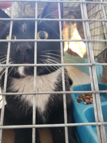 Resized 20230319 1047581 (1)