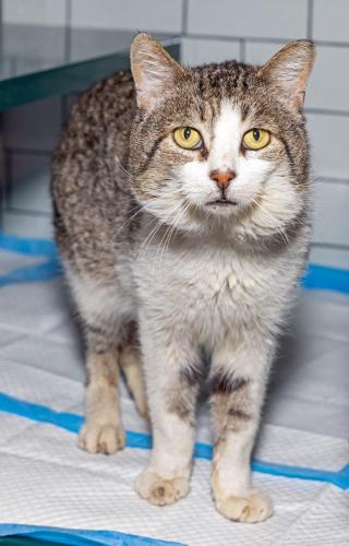 Resized  I2A0306- (1)